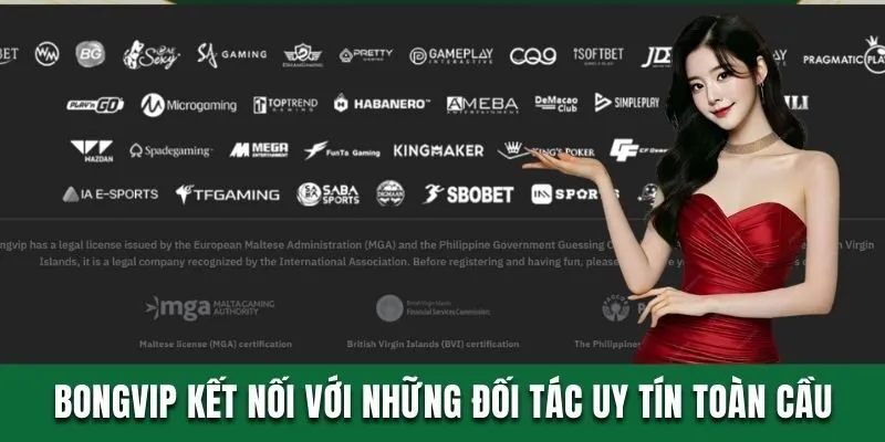 Bongvip kết nối với những đối tác uy tín toàn cầu